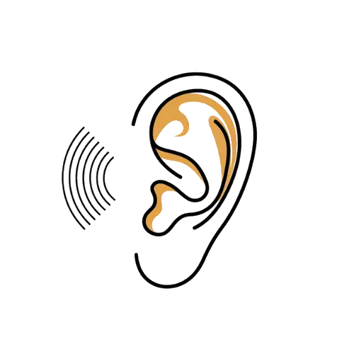 Learning From Every Experience